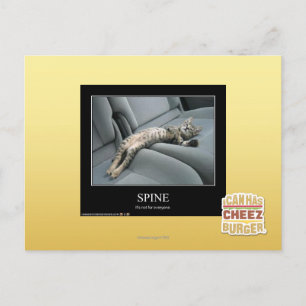 Carte Postale Spine