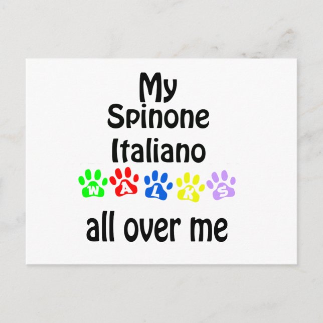 Carte Postale Spinone Italiano Marche Design (Devant)