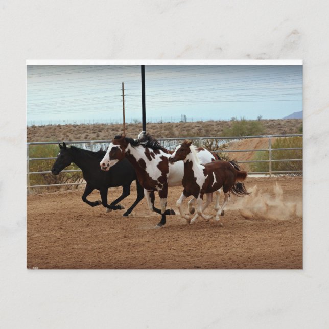 Carte Postale Spiritueux (Devant)