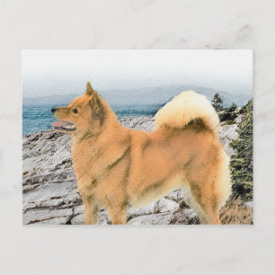 Carte Postale Spitz finlandais à Seashore Peinture - Chien Art