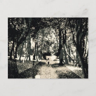 Carte Postale Spooky ghost in the woods image postcard