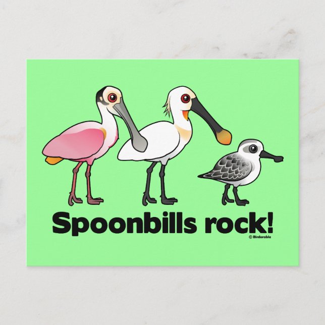Carte Postale Spoonbill Rock ! (Devant)
