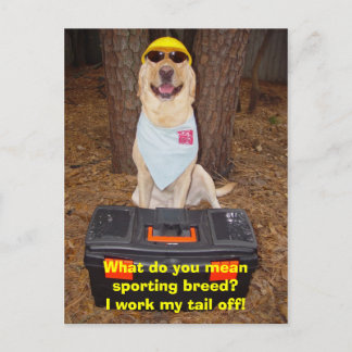 Carte Postale Sporting Breed ?