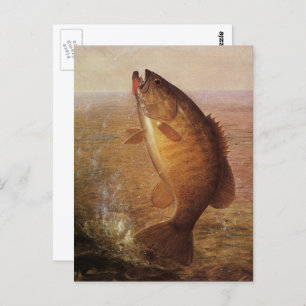 Carte Postale Sports vintages Pêche, Poisson Brown à grande bouc