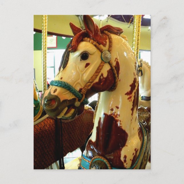 Carte Postale Spots (Devant)