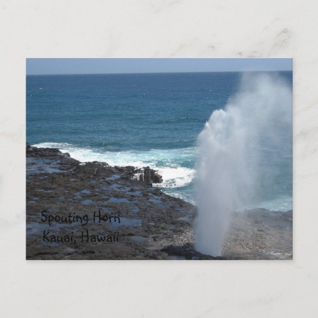 Carte Postale Spouting Horn (Devant)
