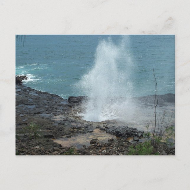 Carte Postale Spouting Horn Postcard (Devant)