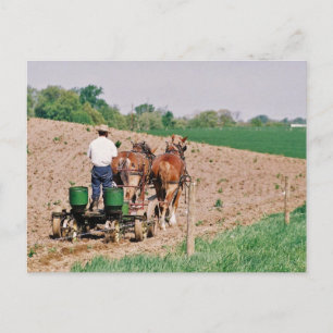 Carte Postale Spreader Amish Seed