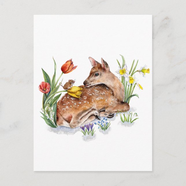 Carte Postale Spring Deer (Devant)