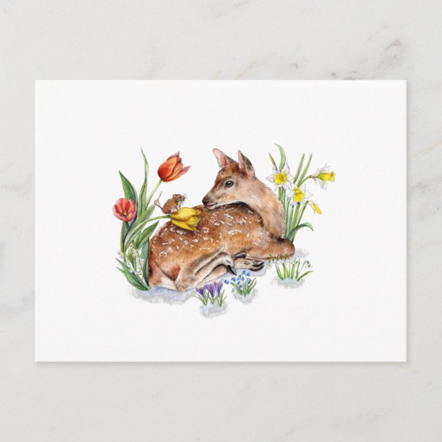 Carte Postale Spring Deer (Devant)