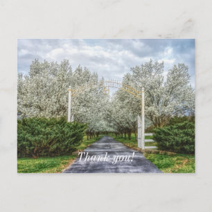 Carte Postale Spring Drive Accueil Remerciements