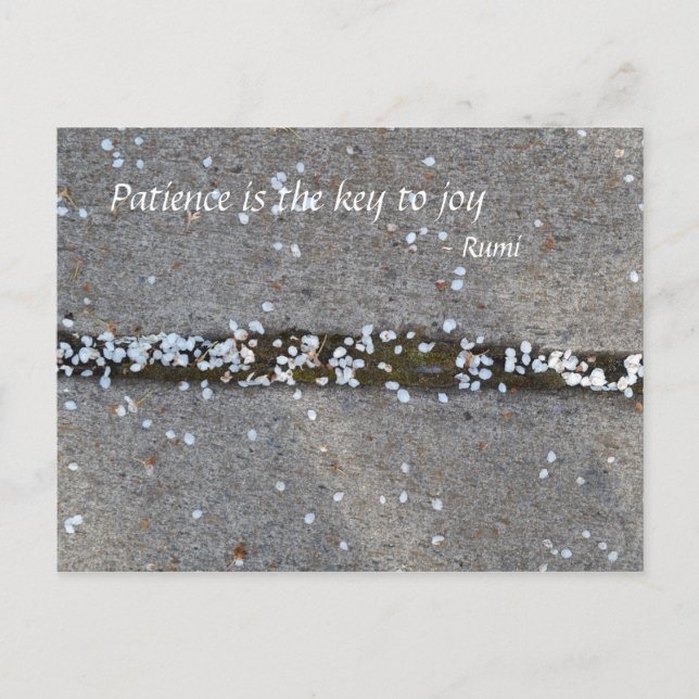 Carte Postale Spring Petals Rumi Joy (Devant)