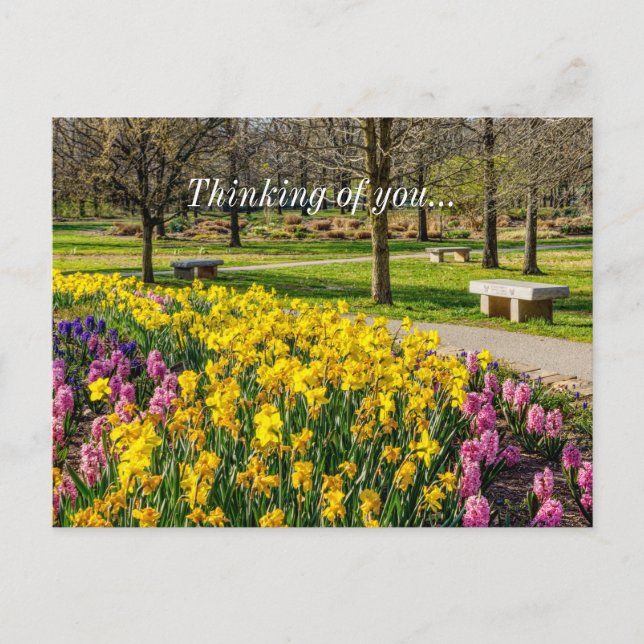 Carte Postale Spring Season Flower Garden Thinking Of You (Devant)
