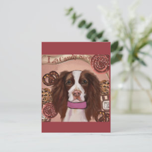 Carte Postale Springer Spaniel Anglais   