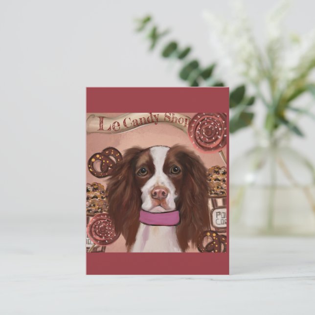 Carte Postale Springer Spaniel Anglais    (Debout devant)