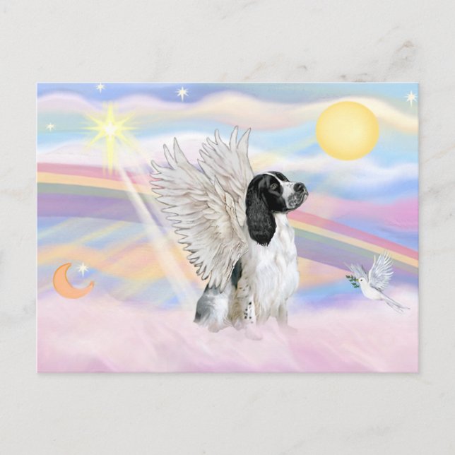 Carte Postale Springer Spaniel Anglais (Devant)