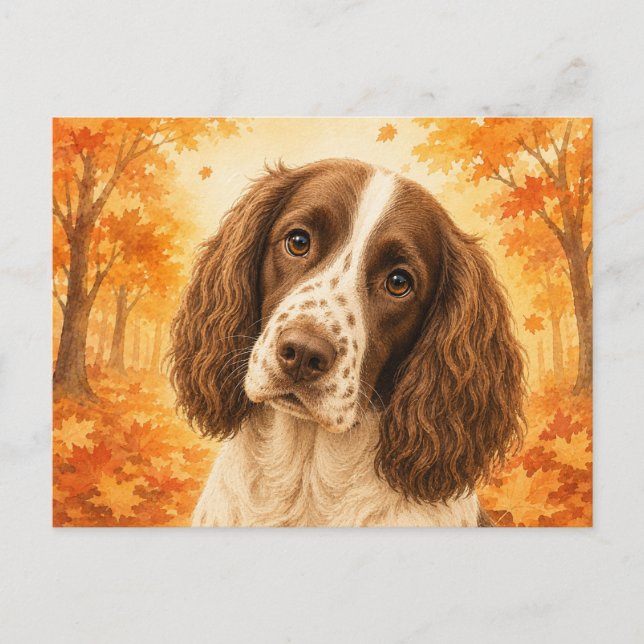 Carte Postale Springer Spaniel Forêt Automnale Chien (Devant)
