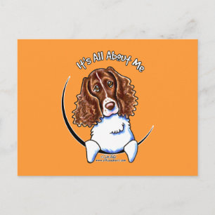 Carte Postale Springer Spaniel IAAM