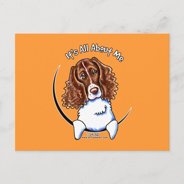 Carte Postale Springer Spaniel IAAM (Devant)
