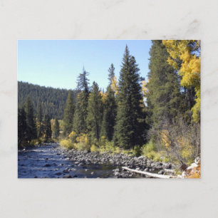 Carte Postale Springs à vapeur, Colorado