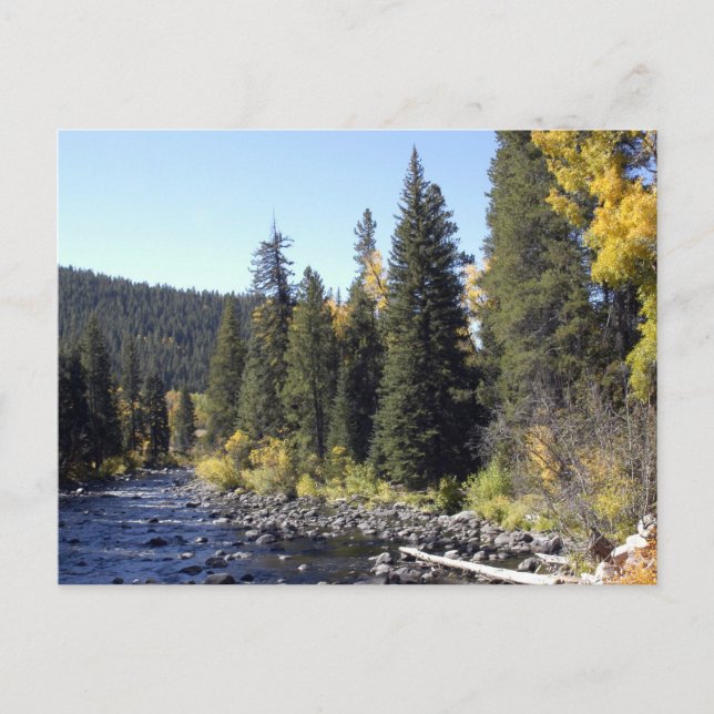 Carte Postale Springs à vapeur, Colorado (Devant)