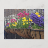 Springtime en Greeley Carré NYC Flowers New York