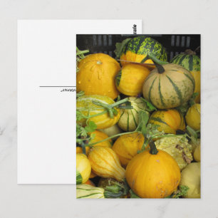 Carte postale - Squash