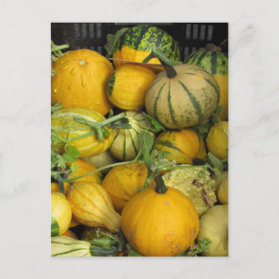 Carte postale - Squash