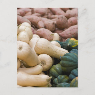 Carte Postale Squash et patates douces