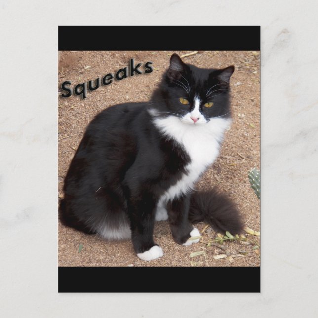 Carte Postale Squeaks (Devant)