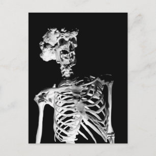 Carte Postale Squelette