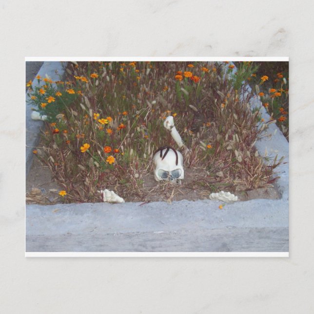 Carte Postale Squelette à Marigolds (Devant)