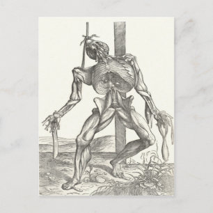 Carte Postale Squelette Cadavre Corps Anatomie Médicale