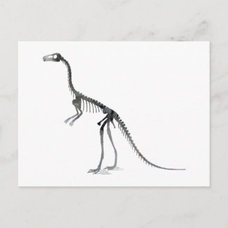 Carte Postale squelette compsognathus