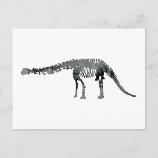 Carte Postale squelette d'apatosaurus