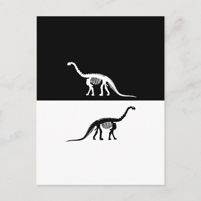Carte Postale squelette de camarasaurus (Devant)