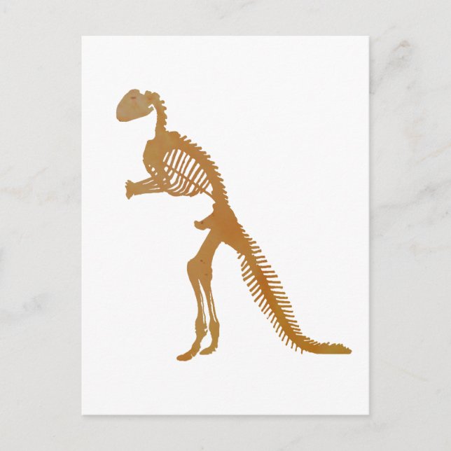 Carte Postale squelette de dinosaure (Devant)