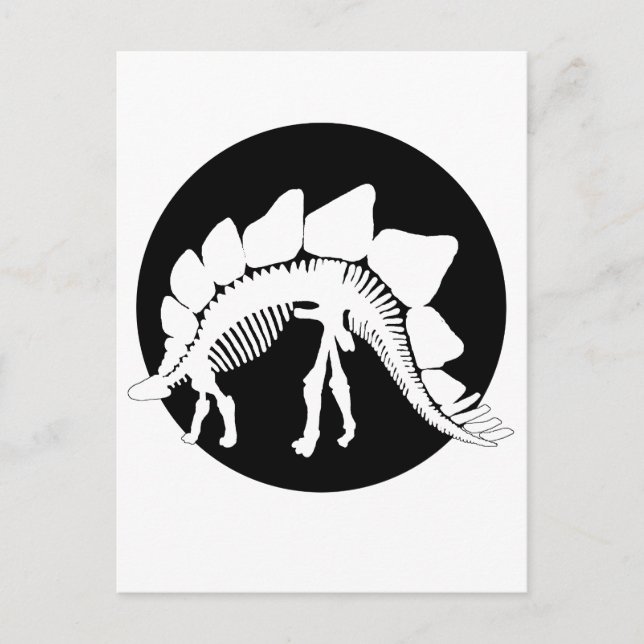 Carte Postale squelette de stégosaurus (Devant)
