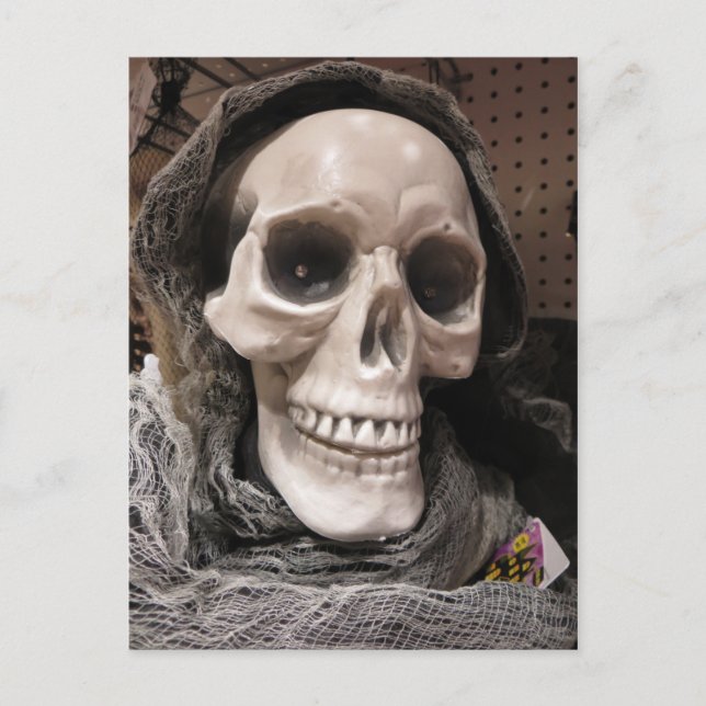 Carte Postale Squelette décoratif (Devant)