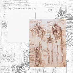 Carte Postale Squelette des os de l'anatomie humaine de Léonard 