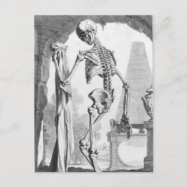 Carte Postale Squelette Vintage (Devant)