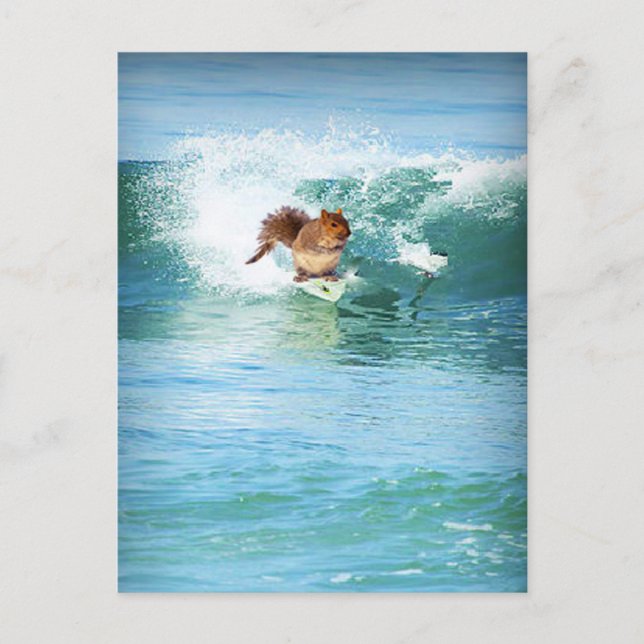 Carte Postale Squirl Surfer (Devant)
