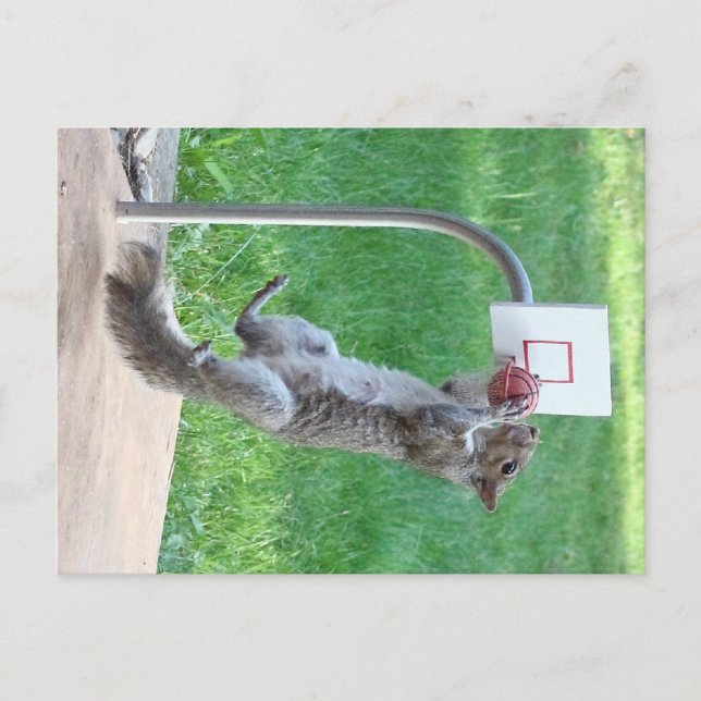 Carte Postale Squirrel Slam Dunk (Devant)