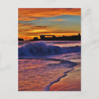 Carte Postale SS Palo Alto.