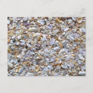 Carte Postale St Augustine Beach Sable et Coquillages minuscules