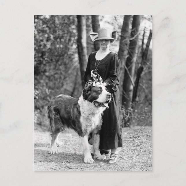 Carte Postale St Bernard & Boston Terrier, 1925 (Devant)