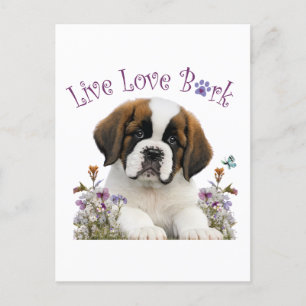 Carte Postale St. Bernard Chien Maman Floral