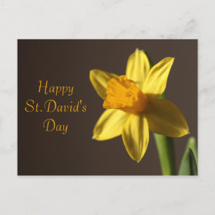 Carte postale St.David's Day