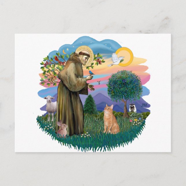 Carte Postale St Francis (ff) - Chat tigré orange (Devant)