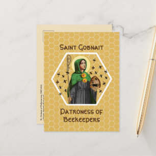 Carte Postale St. Gobnait de Ballyvourney (SAE 003)